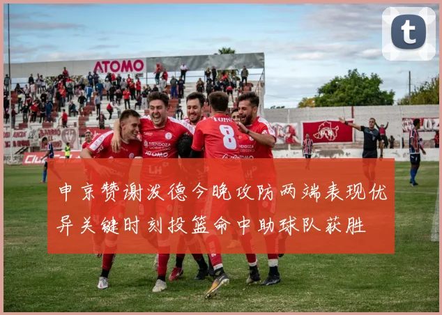 申京赞谢泼德今晚攻防两端表现优异关键时刻投篮命中助球队获胜