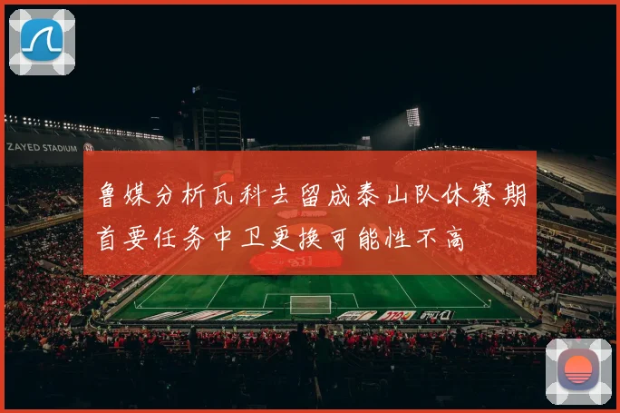 鲁媒分析瓦科去留成泰山队休赛期首要任务中卫更换可能性不高