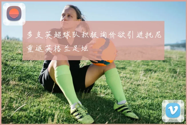 多支英超球队积极询价欲引进托尼重返英格兰足坛